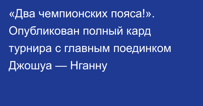 «Два чемпионских пояса!». Опубликован полный кард турнира с главным поединком Джошуа — Нганну