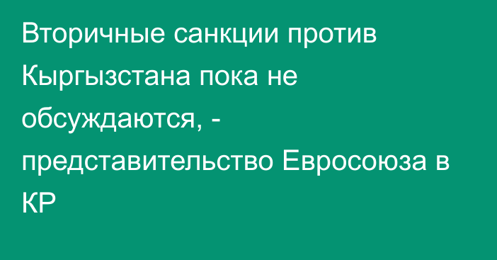 Вторичные санкции против Кыргызстана пока не обсуждаются, - представительство Евросоюза в КР