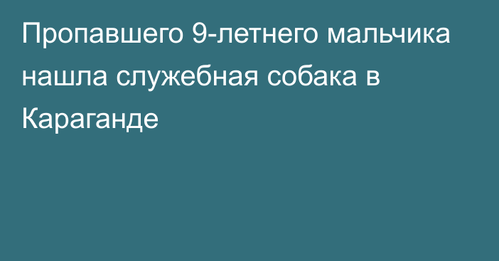 Пропавшего 9-летнего мальчика нашла служебная собака в Караганде