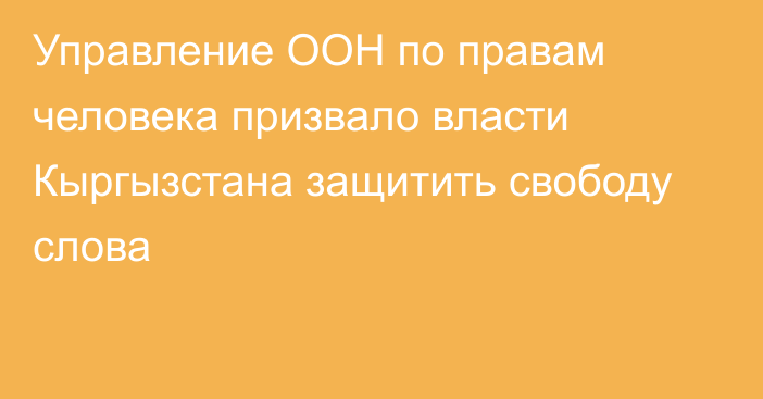 Управление ООН по правам человека призвало власти Кыргызстана защитить свободу слова