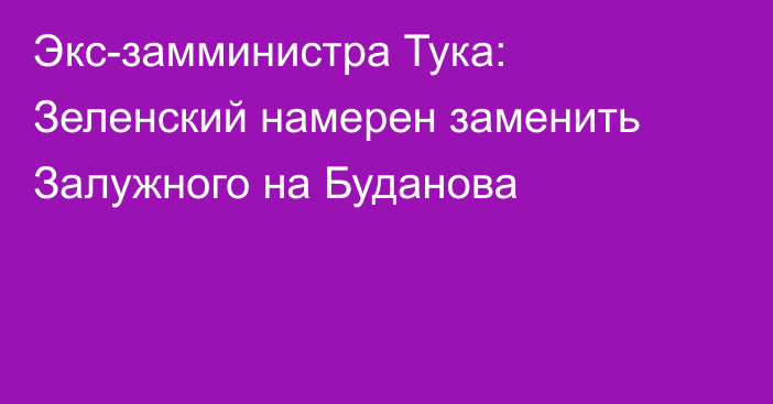 Экс-замминистра Тука: Зеленский намерен заменить Залужного на Буданова