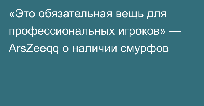 «Это обязательная вещь для профессиональных игроков» — ArsZeeqq о наличии смурфов