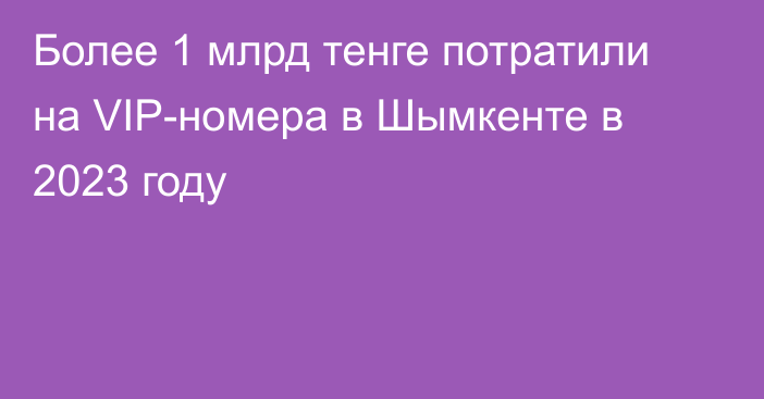 Более 1 млрд тенге потратили на VIP-номера в Шымкенте в 2023 году