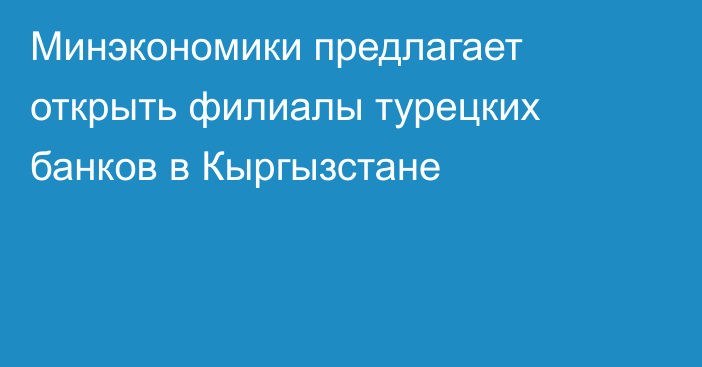 Минэкономики предлагает открыть филиалы турецких банков в Кыргызстане