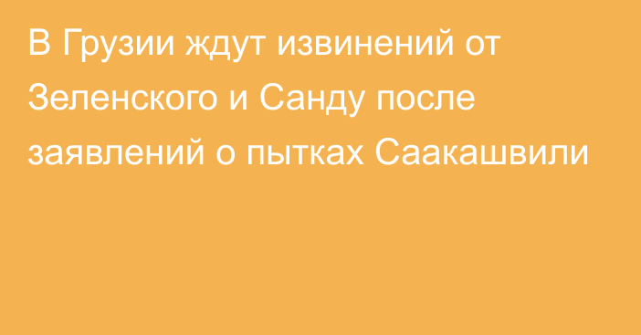 В Грузии ждут извинений от Зеленского и Санду после заявлений о пытках Саакашвили