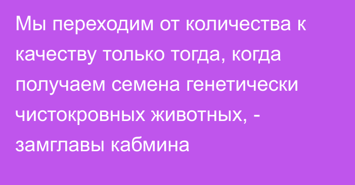 Мы переходим от количества к качеству только тогда, когда получаем семена генетически чистокровных животных, - замглавы кабмина