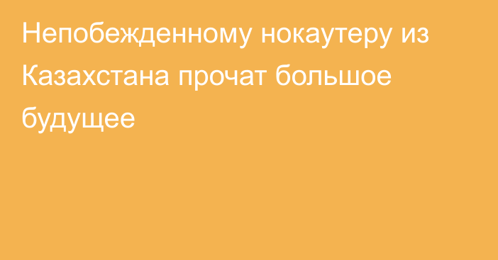 Непобежденному нокаутеру из Казахстана прочат большое будущее