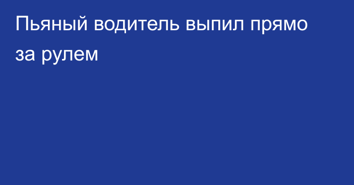 Пьяный водитель выпил прямо за рулем