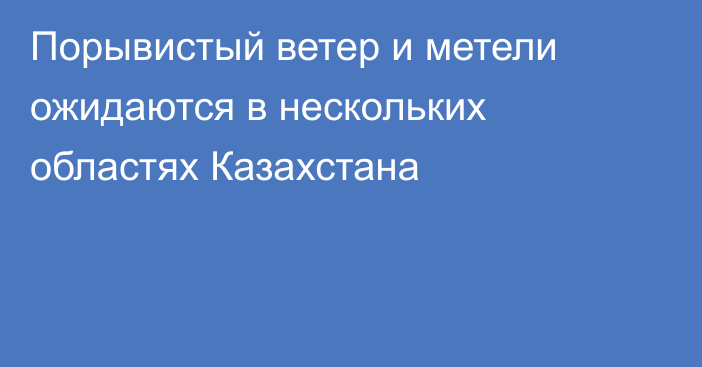 Порывистый ветер и метели ожидаются в нескольких областях Казахстана