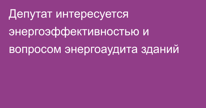 Депутат интересуется энергоэффективностью и вопросом энергоаудита зданий