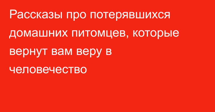 Рассказы про потерявшихся домашних питомцев, которые вернут вам веру в человечество