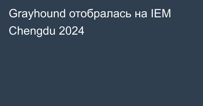 Grayhound отобралась на IEM Chengdu 2024