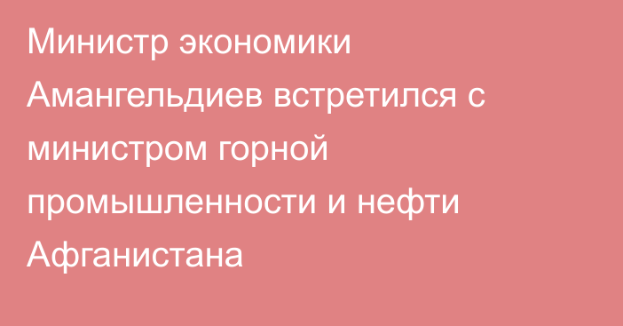 Министр экономики Амангельдиев встретился с министром горной промышленности и нефти Афганистана