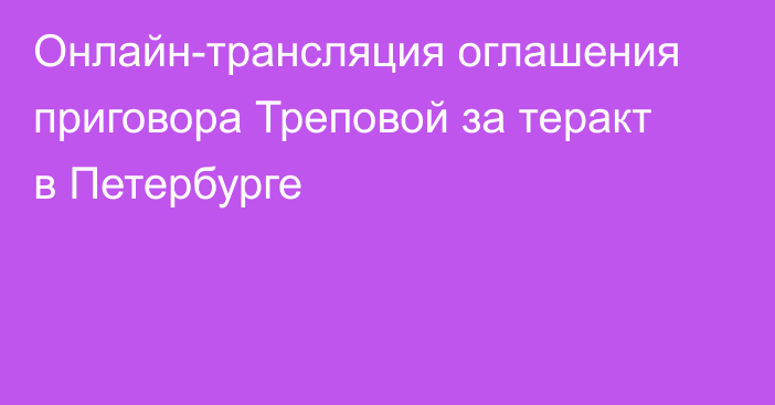 Онлайн-трансляция оглашения приговора Треповой за теракт в Петербурге