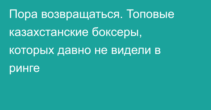 Пора возвращаться. Топовые казахстанские боксеры, которых давно не видели в ринге