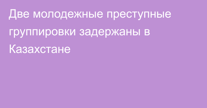 Две молодежные преступные группировки задержаны в Казахстане