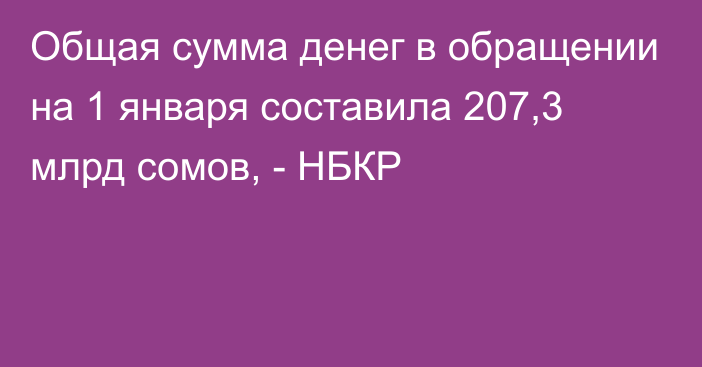 Общая сумма денег в обращении на 1 января составила 207,3 млрд сомов, - НБКР