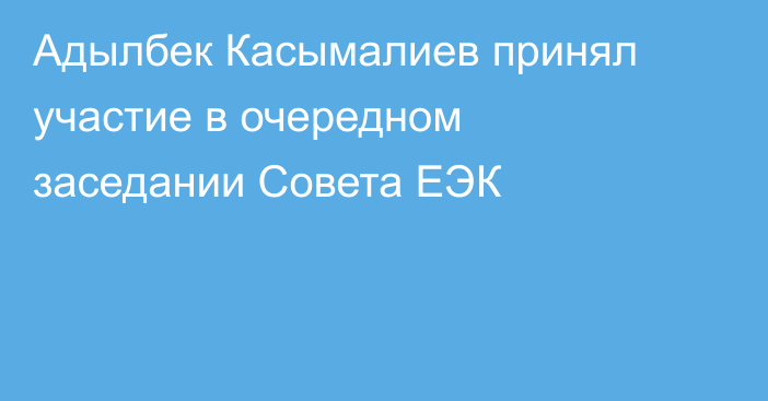 Адылбек Касымалиев принял участие в очередном заседании Совета ЕЭК