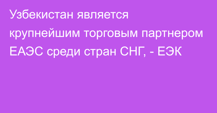 Узбекистан является крупнейшим торговым партнером ЕАЭС среди стран СНГ, - ЕЭК