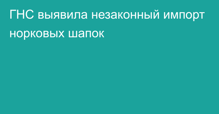 ГНС выявила незаконный импорт норковых шапок