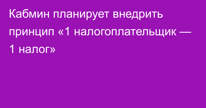 Кабмин планирует внедрить принцип «1 налогоплательщик — 1 налог»