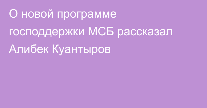 О новой программе господдержки МСБ рассказал Алибек Куантыров