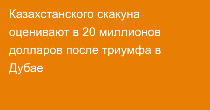 Казахстанского скакуна оценивают в 20 миллионов долларов после триумфа в Дубае