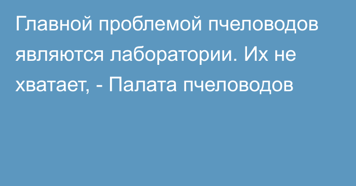 Главной проблемой пчеловодов являются лаборатории. Их не хватает, - Палата пчеловодов