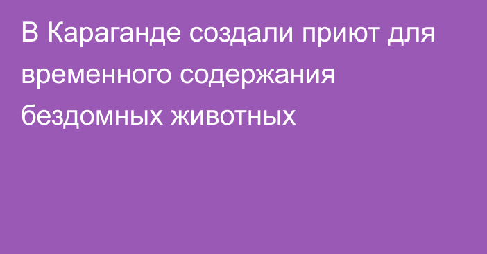 В Караганде создали приют для временного содержания бездомных животных