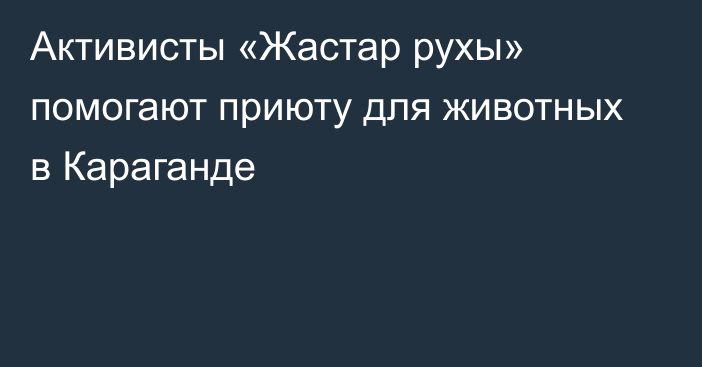 Активисты «Жастар рухы» помогают приюту для животных в Караганде