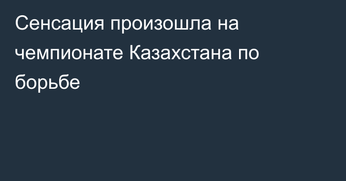 Сенсация произошла на чемпионате Казахстана по борьбе