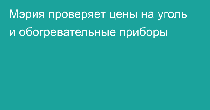 Мэрия проверяет цены на уголь и обогревательные приборы