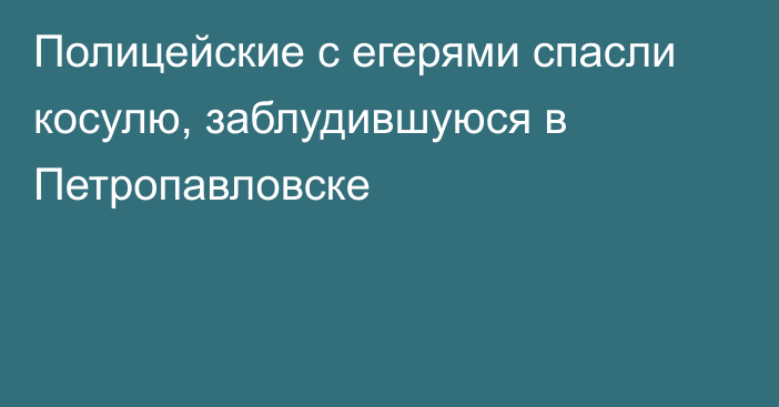 Полицейские с егерями спасли косулю, заблудившуюся   в Петропавловске