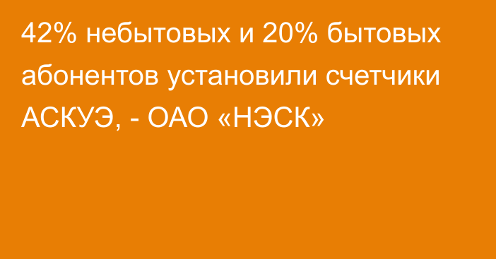 42% небытовых и 20% бытовых абонентов установили счетчики АСКУЭ, - ОАО «НЭСК»