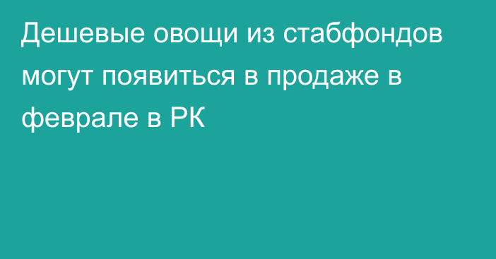 Дешевые овощи из стабфондов могут появиться в продаже в феврале в РК