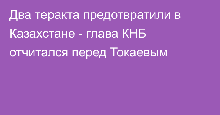 Два теракта предотвратили в Казахстане - глава КНБ отчитался перед Токаевым