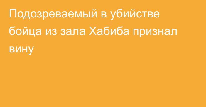 Подозреваемый в убийстве бойца из зала Хабиба признал вину