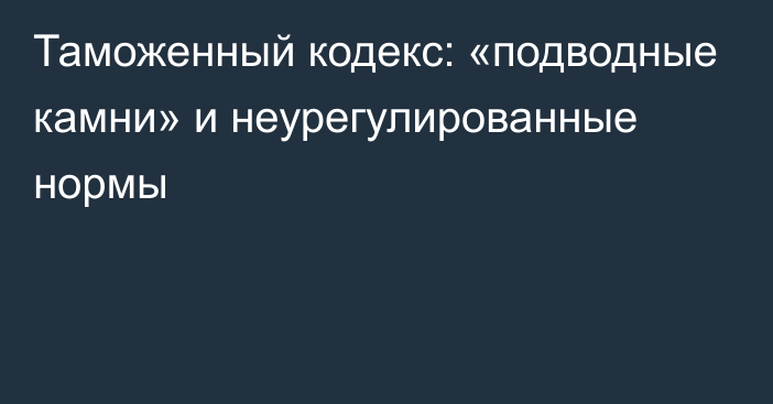 Таможенный кодекс: «подводные камни» и неурегулированные нормы