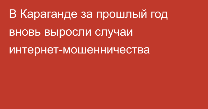 В Караганде за прошлый год вновь выросли случаи интернет-мошенничества