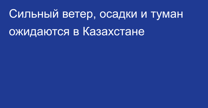 Сильный ветер, осадки и туман ожидаются в Казахстане