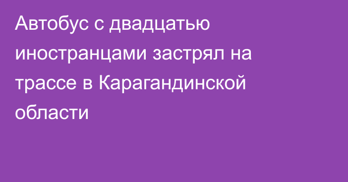 Автобус с двадцатью иностранцами застрял на трассе в Карагандинской области