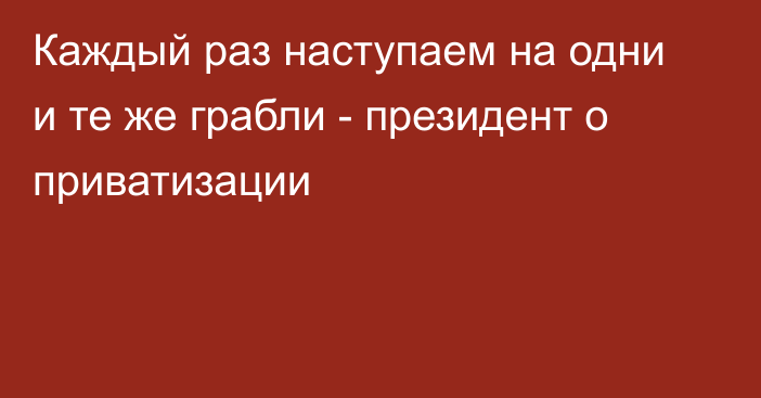 Каждый раз наступаем на одни и те же грабли - президент о приватизации