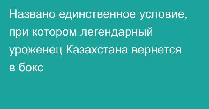 Названо единственное условие, при котором легендарный уроженец Казахстана вернется в бокс