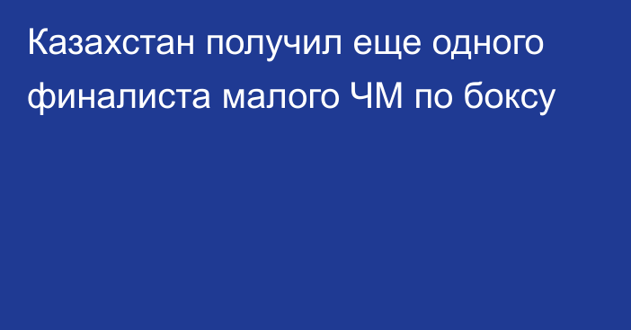 Казахстан получил еще одного финалиста малого ЧМ по боксу