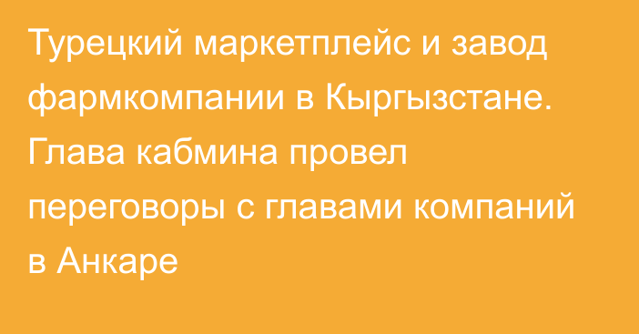 Турецкий маркетплейс и завод фармкомпании в Кыргызстане. Глава кабмина провел переговоры с главами компаний в Анкаре