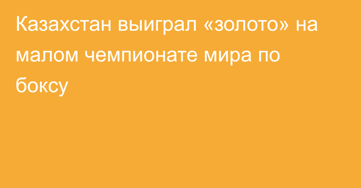 Казахстан выиграл «золото» на малом чемпионате мира по боксу