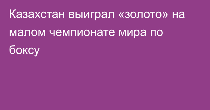 Казахстан выиграл «золото» на малом чемпионате мира по боксу