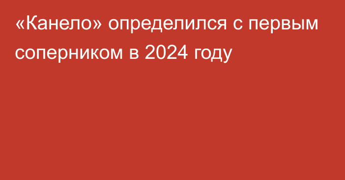 «Канело» определился с первым соперником в 2024 году