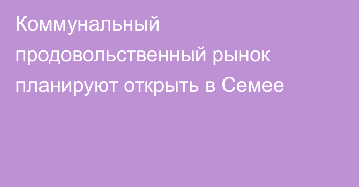 Коммунальный продовольственный рынок планируют открыть в Семее