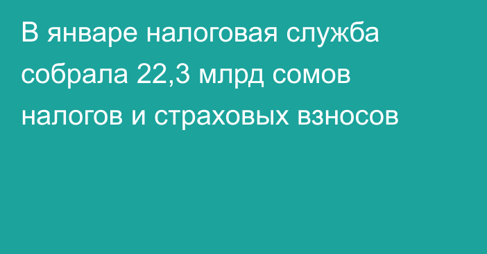 В январе налоговая служба собрала 22,3 млрд сомов налогов и страховых взносов